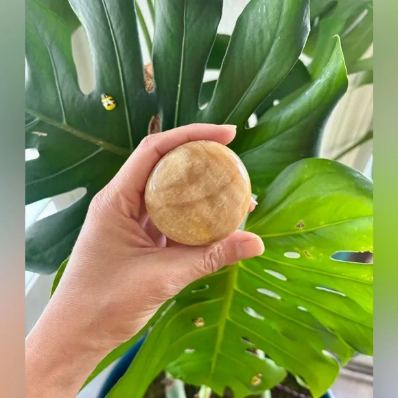 Brown Calcite Palmstone - Picture 2 of 5